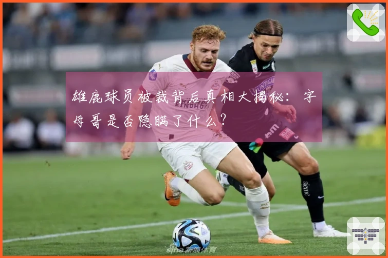 雄鹿球员被裁背后真相大揭秘：字母哥是否隐瞒了什么？