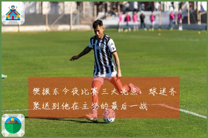 樊振东今夜比赛三大亮点，球迷齐聚送别他在主场的最后一战
